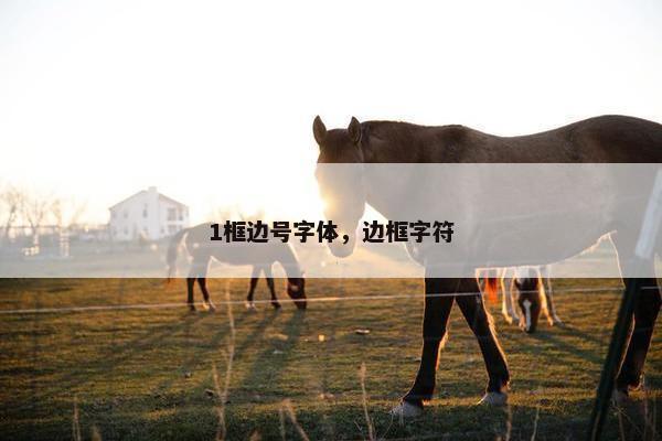 1框边号字体，边框字符