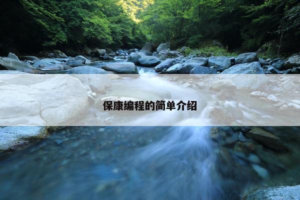 保康编程的简单介绍