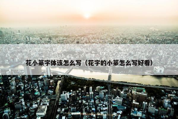 花小篆字体该怎么写（花字的小篆怎么写好看）
