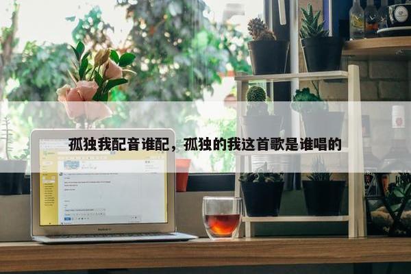 孤独我配音谁配，孤独的我这首歌是谁唱的