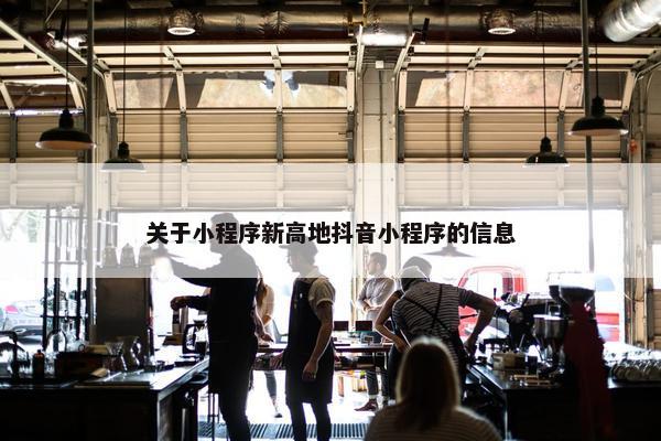 关于小程序新高地抖音小程序的信息