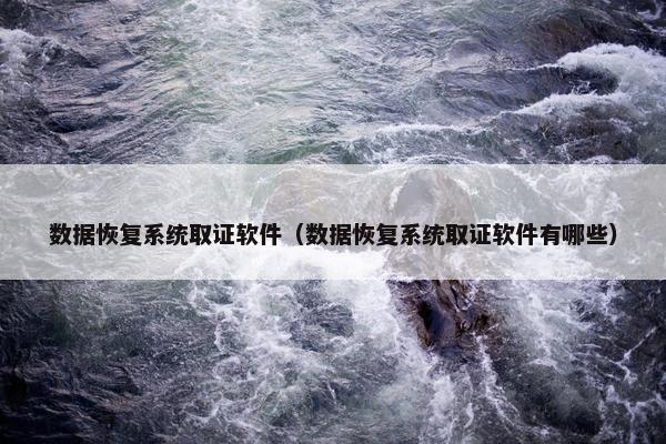 数据恢复系统取证软件（数据恢复系统取证软件有哪些）