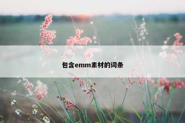 包含emm素材的词条