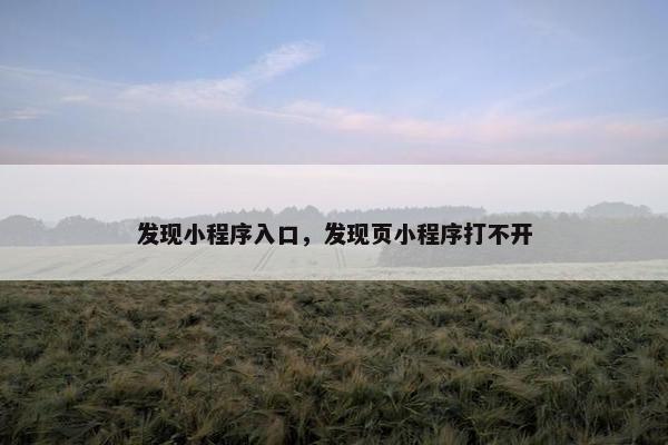 发现小程序入口，发现页小程序打不开