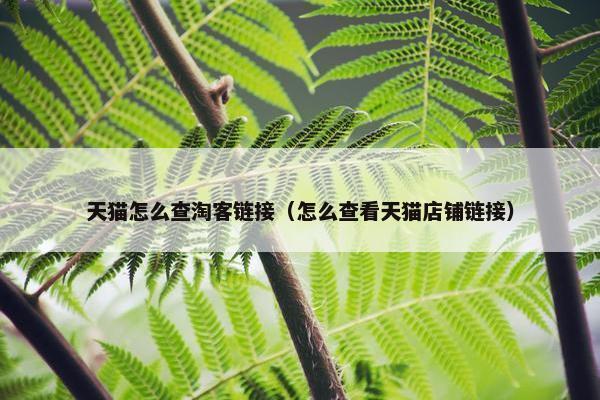 天猫怎么查淘客链接（怎么查看天猫店铺链接）