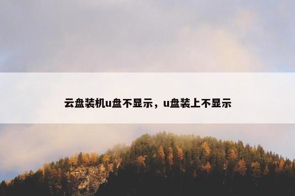 云盘装机u盘不显示，u盘装上不显示