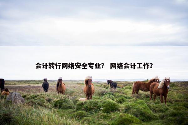 会计转行网络安全专业？ 网络会计工作？