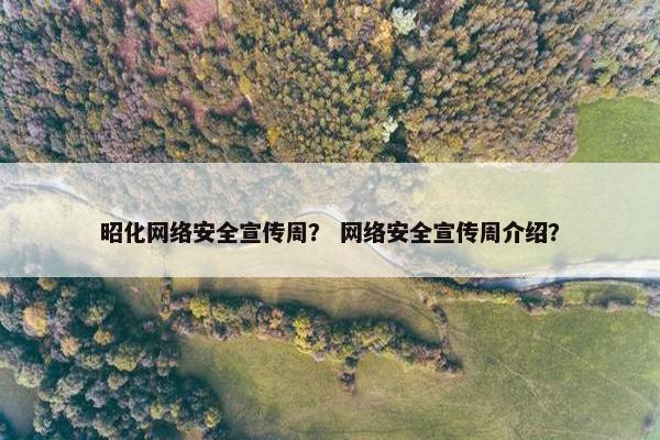 昭化网络安全宣传周？ 网络安全宣传周介绍？