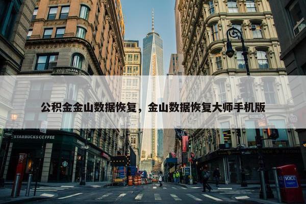 公积金金山数据恢复，金山数据恢复大师手机版