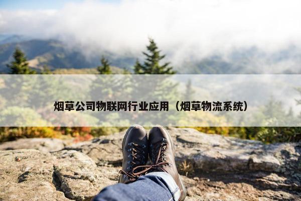 烟草公司物联网行业应用（烟草物流系统）
