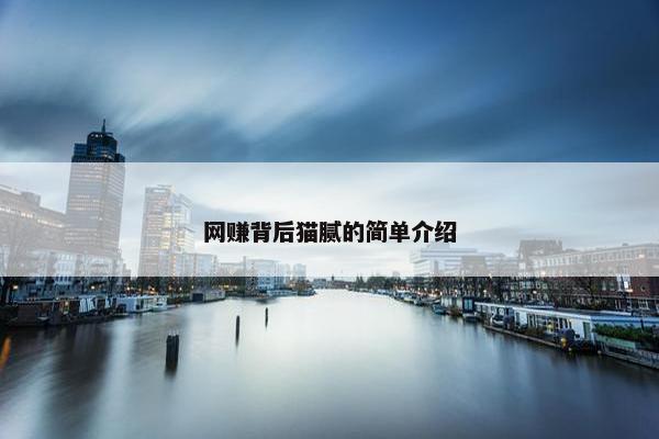 网赚背后猫腻的简单介绍