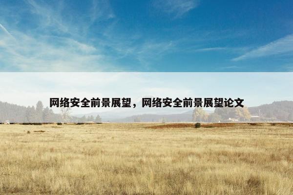 网络安全前景展望，网络安全前景展望论文