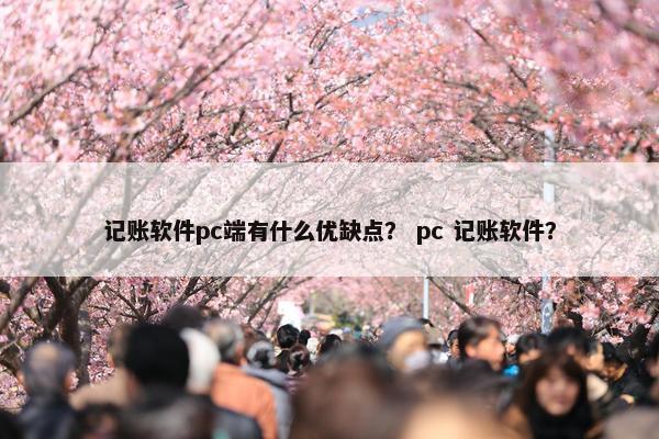 记账软件pc端有什么优缺点？ pc 记账软件？