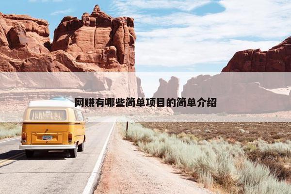 网赚有哪些简单项目的简单介绍