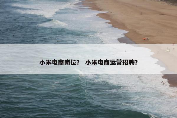 小米电商岗位？ 小米电商运营招聘？