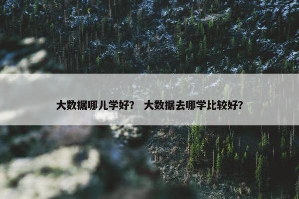 大数据哪儿学好？ 大数据去哪学比较好？
