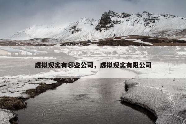 虚拟现实有哪些公司，虚拟现实有限公司