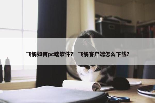 飞鸽如何pc端软件？ 飞鸽客户端怎么下载？