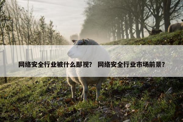 网络安全行业被什么鄙视？ 网络安全行业市场前景？