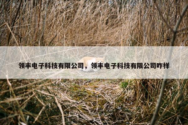 领丰电子科技有限公司，领丰电子科技有限公司咋样