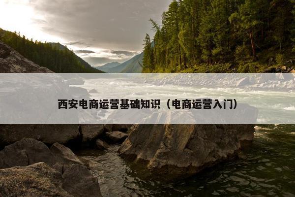 西安电商运营基础知识（电商运营入门）