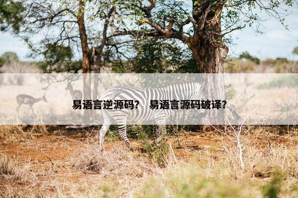 易语言逆源码？ 易语言源码破译？