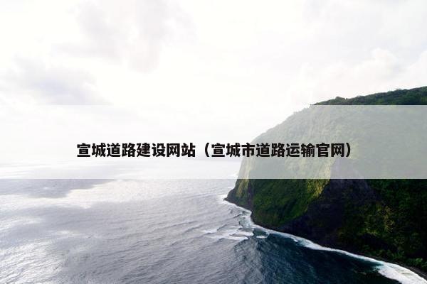 宣城道路建设网站（宣城市道路运输官网）