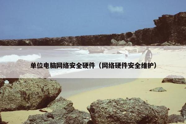 单位电脑网络安全硬件（网络硬件安全维护）