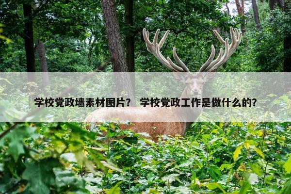 学校党政墙素材图片？ 学校党政工作是做什么的？
