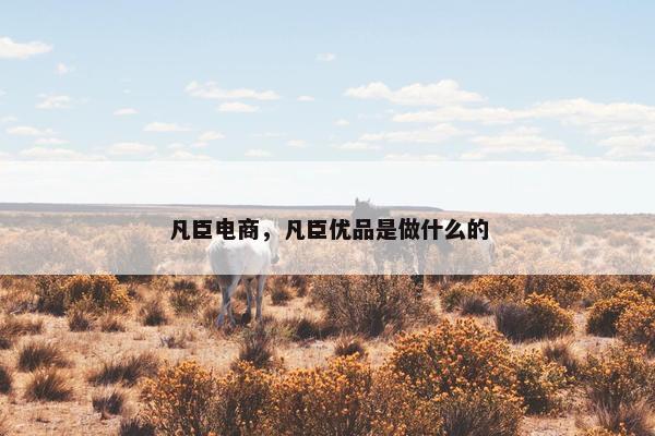 凡臣电商，凡臣优品是做什么的