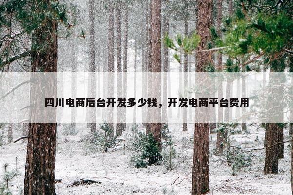 四川电商后台开发多少钱，开发电商平台费用