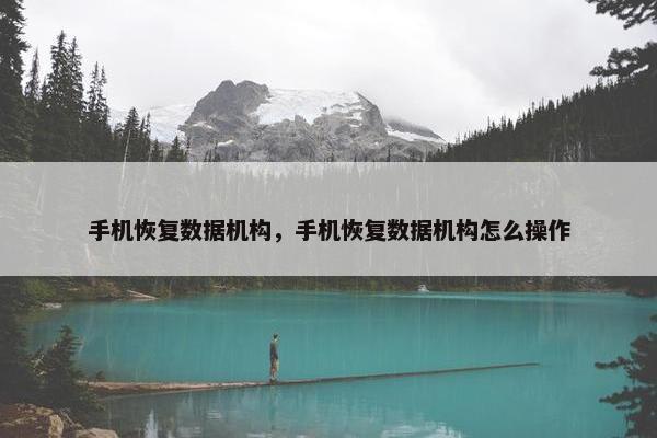 手机恢复数据机构，手机恢复数据机构怎么操作