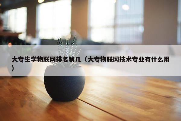 大专生学物联网排名第几（大专物联网技术专业有什么用）