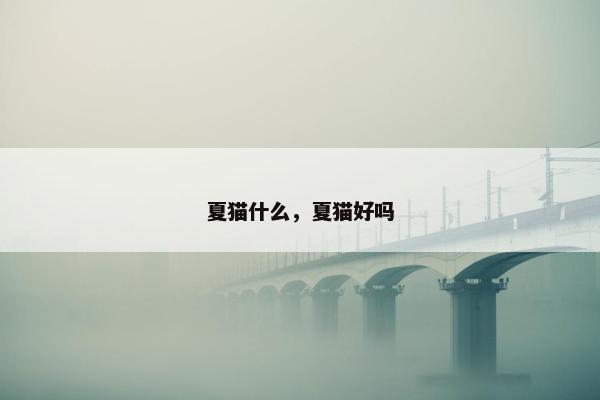 夏猫什么，夏猫好吗