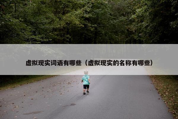 虚拟现实词语有哪些（虚拟现实的名称有哪些）