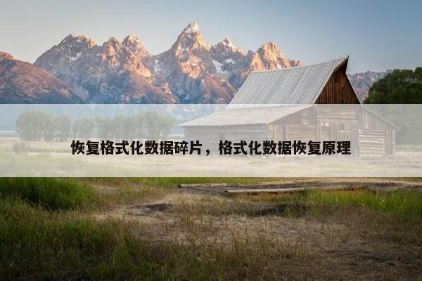 恢复格式化数据碎片，格式化数据恢复原理