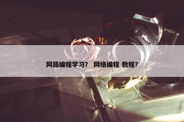 网路编程学习？ 网络编程 教程？