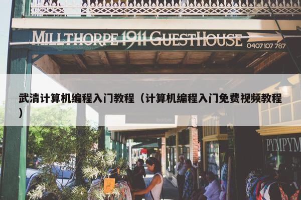 武清计算机编程入门教程（计算机编程入门免费视频教程）