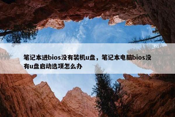 笔记本进bios没有装机u盘，笔记本电脑bios没有u盘启动选项怎么办