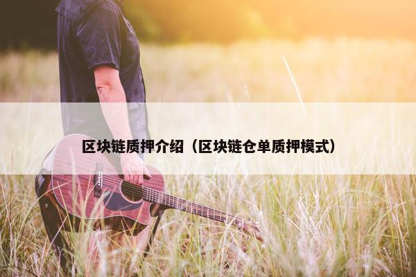 区块链质押介绍（区块链仓单质押模式）