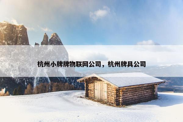 杭州小牌牌物联网公司，杭州牌具公司