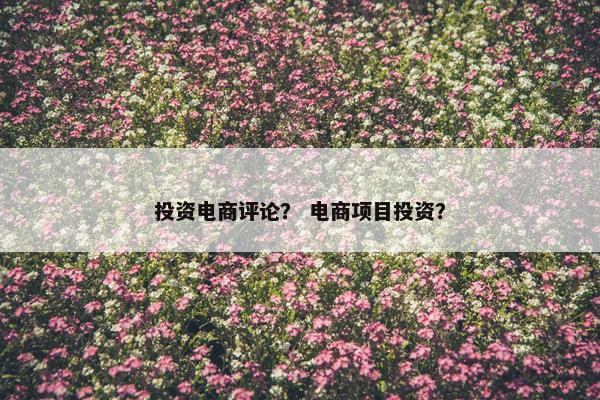 投资电商评论？ 电商项目投资？