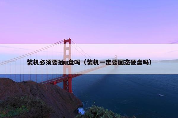 装机必须要插u盘吗（装机一定要固态硬盘吗）