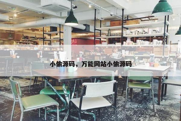 小偷源码，万能网站小偷源码