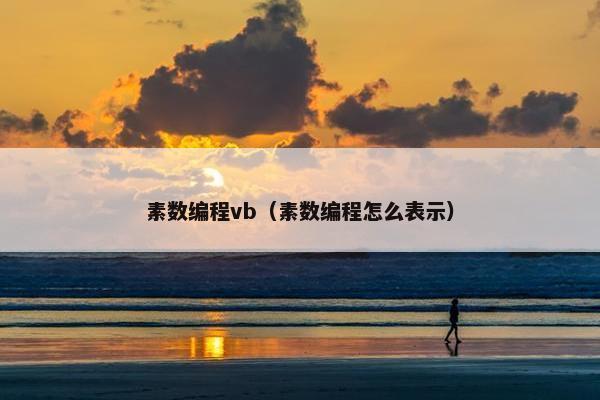 素数编程vb（素数编程怎么表示）
