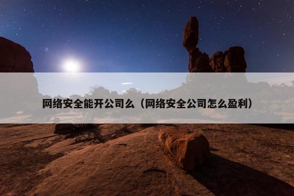 网络安全能开公司么（网络安全公司怎么盈利）