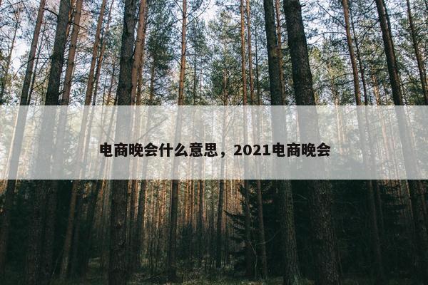电商晚会什么意思，2021电商晚会