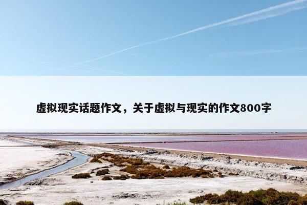 虚拟现实话题作文，关于虚拟与现实的作文800字