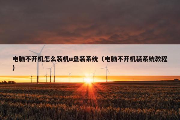 电脑不开机怎么装机u盘装系统（电脑不开机装系统教程）