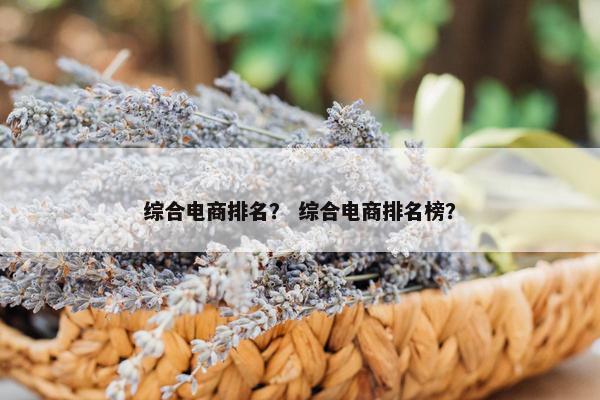 综合电商排名？ 综合电商排名榜？